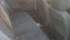 3_375240183.jpg