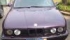 5_376479791.jpg